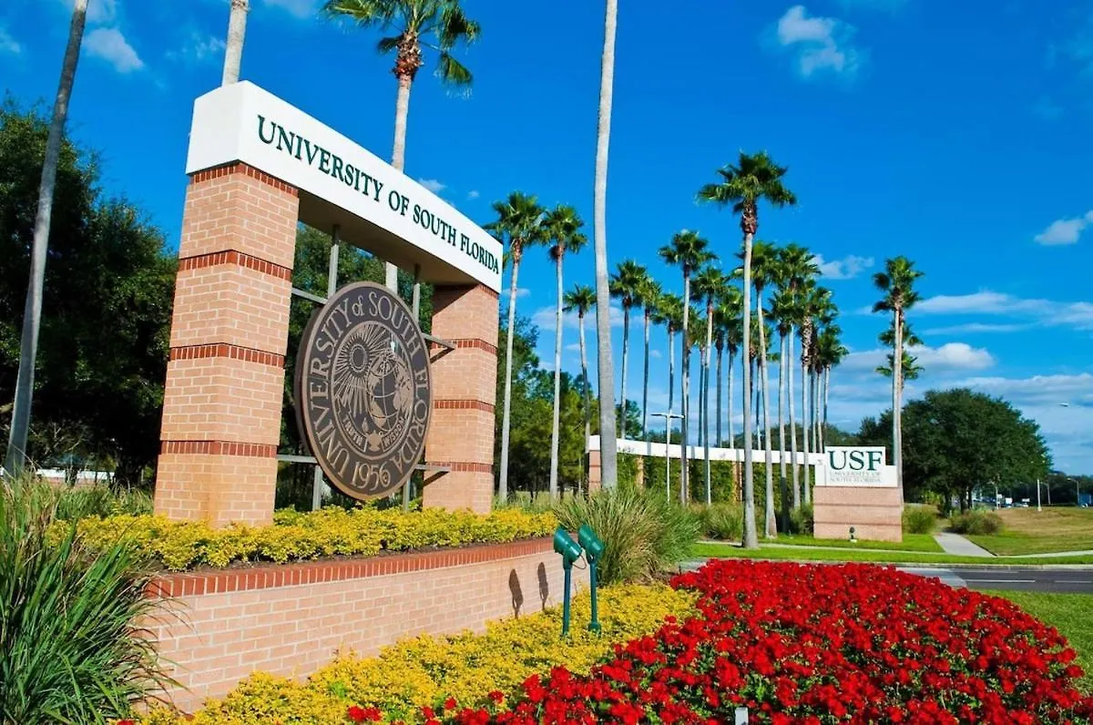 탬파 3 Mi To Usf Pool Gym & Pet Friendly 아파트