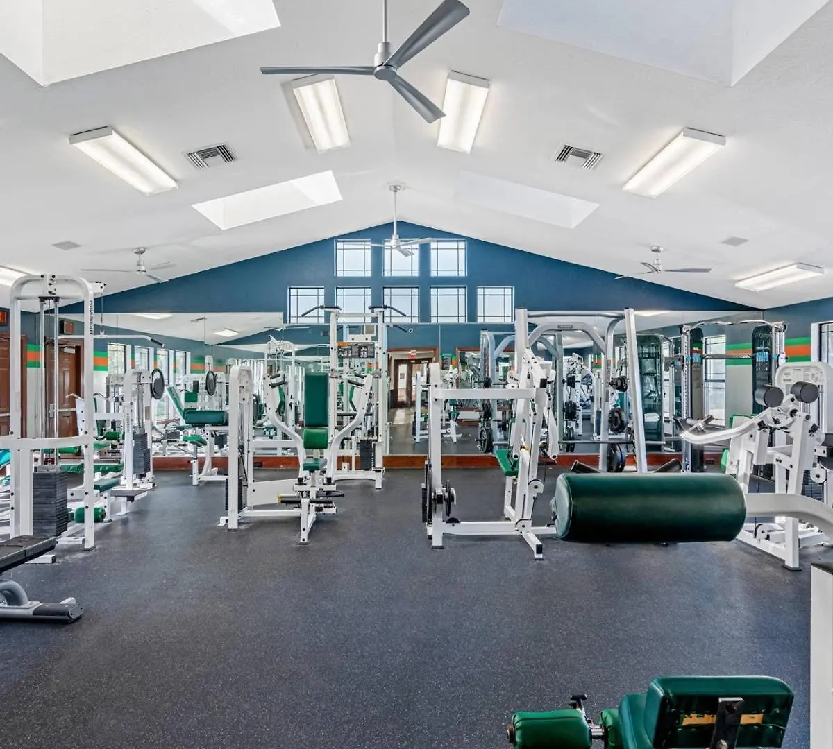 탬파 3 Mi To Usf Pool Gym & Pet Friendly 아파트 0*,  미국