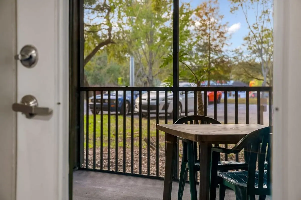 탬파 3 Mi To Usf Pool Gym & Pet Friendly 아파트 0*,