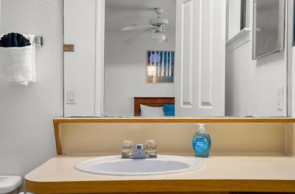탬파 3 Mi To Usf Pool Gym & Pet Friendly 아파트 0*,
