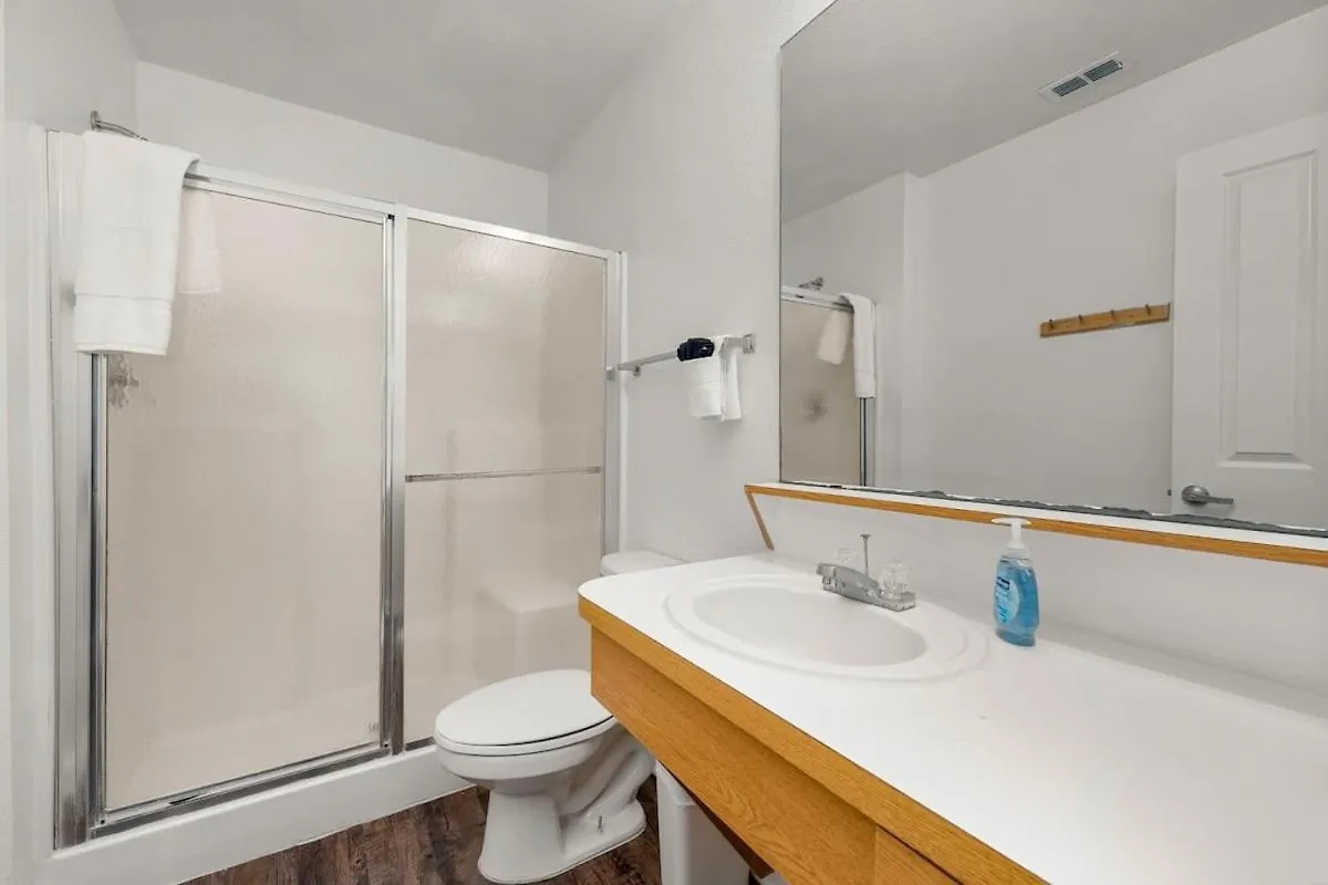 탬파 3 Mi To Usf Pool Gym & Pet Friendly 아파트