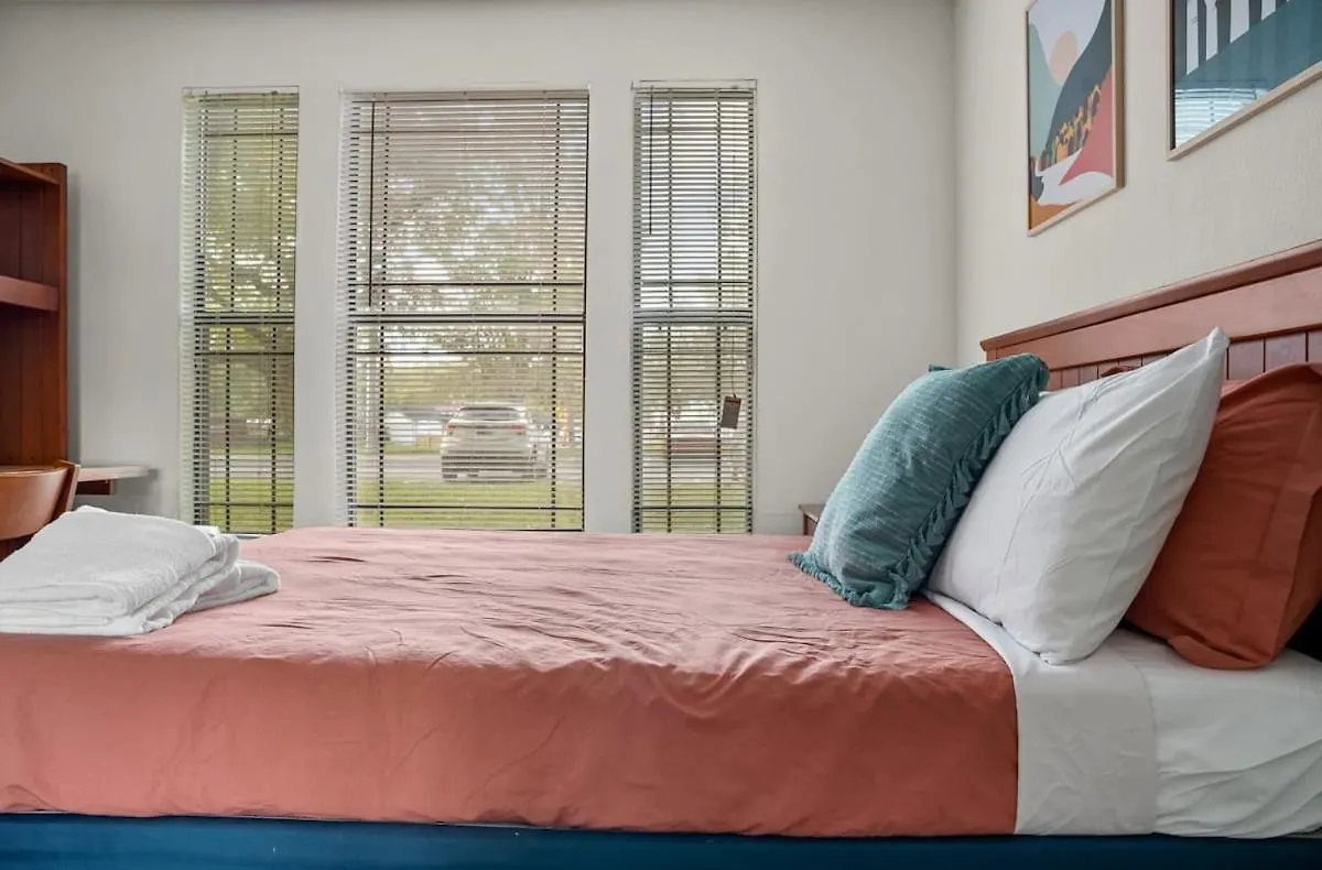 탬파 3 Mi To Usf Pool Gym & Pet Friendly 아파트 0*,