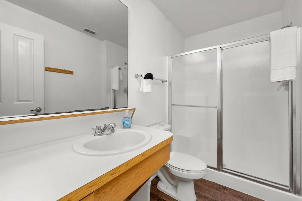 탬파 3 Mi To Usf Pool Gym & Pet Friendly 아파트