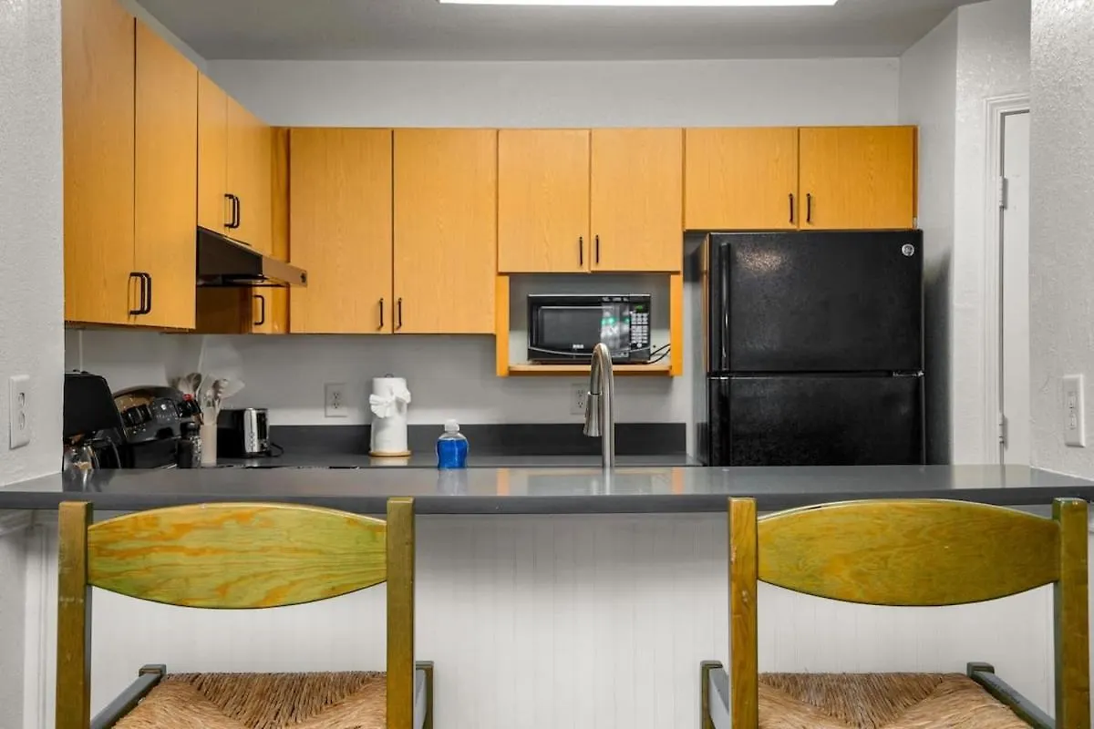 탬파 3 Mi To Usf Pool Gym & Pet Friendly 아파트