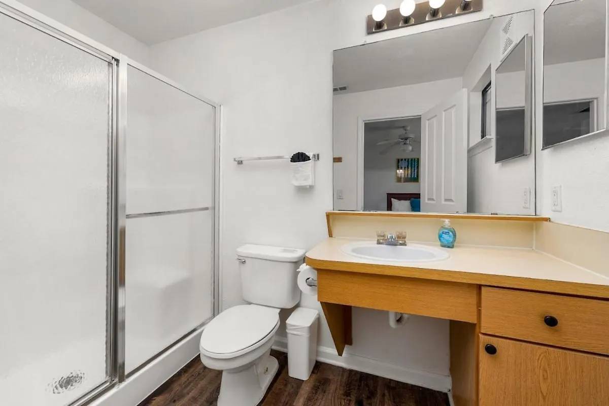 탬파 3 Mi To Usf Pool Gym & Pet Friendly 아파트