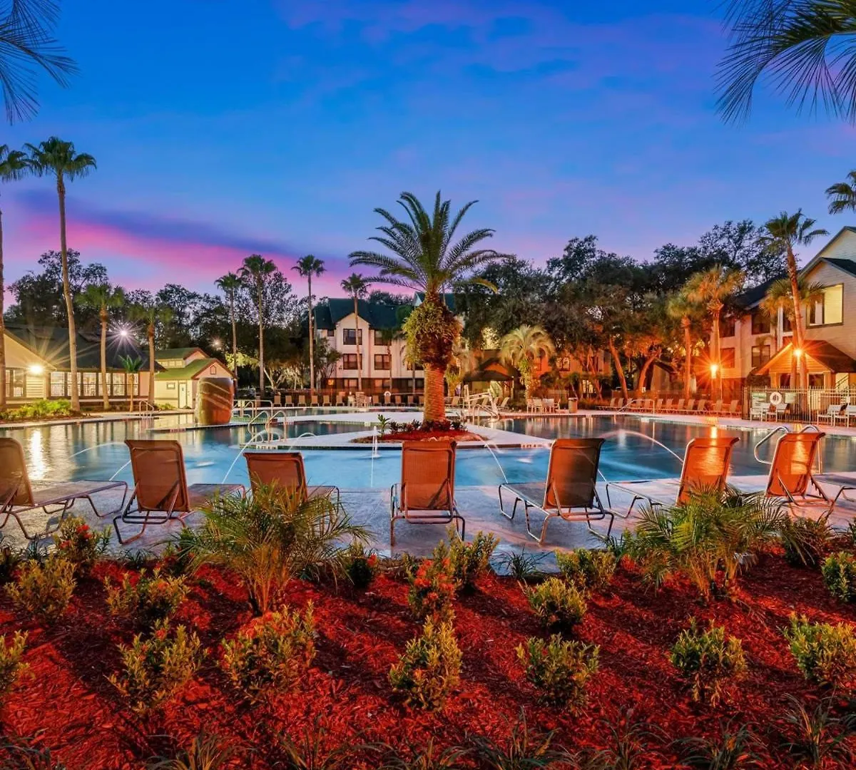 탬파 3 Mi To Usf Pool Gym & Pet Friendly 아파트